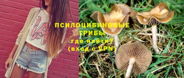 apvp Елизово