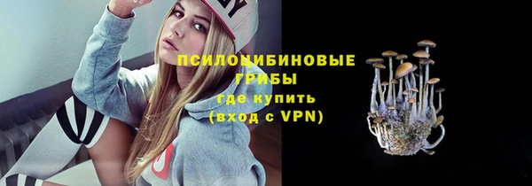 apvp Елизово