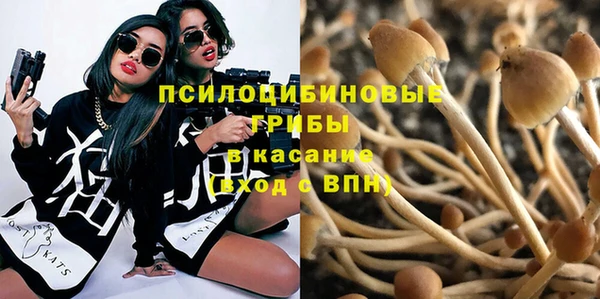 apvp Елизово
