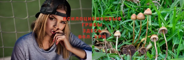 MESCALINE Елабуга