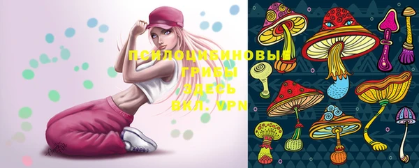 ешки Ельня