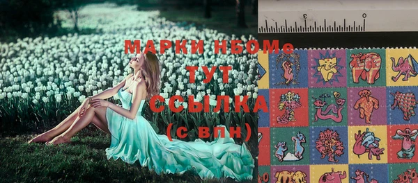 ешки Ельня