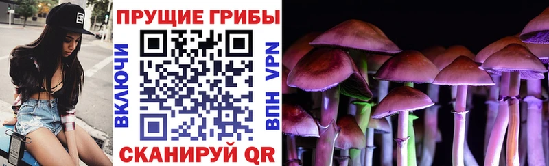 дарк нет состав  где купить наркоту  Новомичуринск  Псилоцибиновые грибы мухоморы 